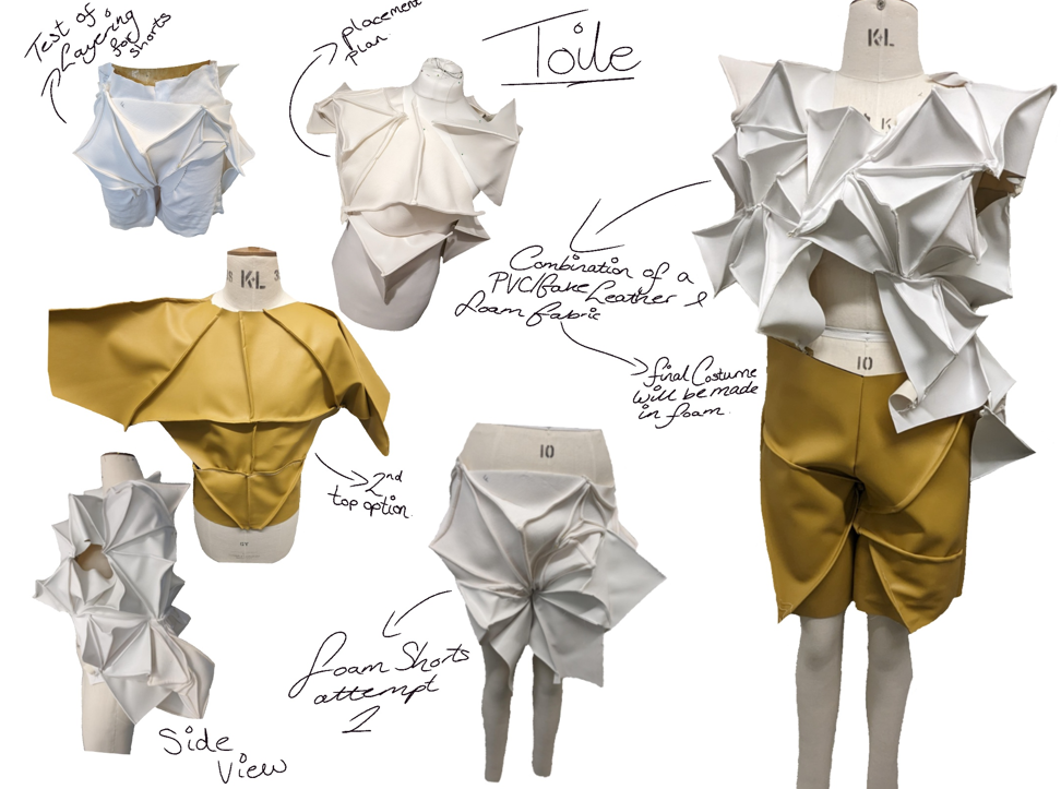 portfolio page- toile development